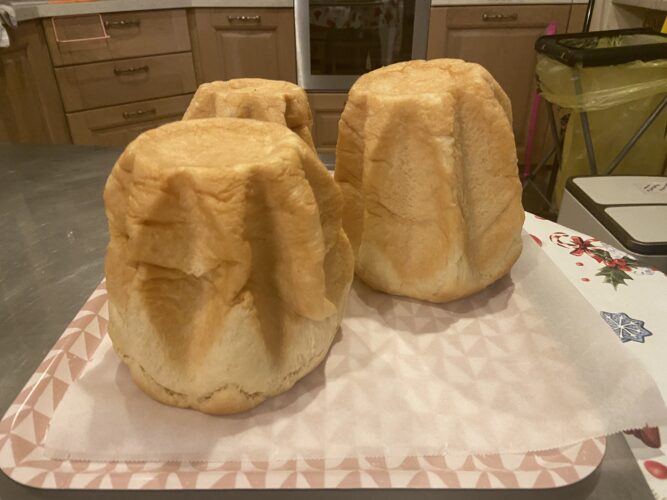 pandoro gastronomico