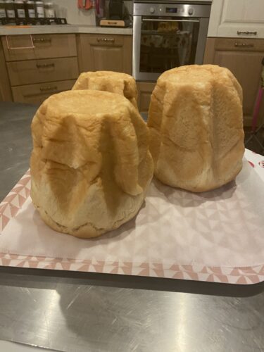 pandoro gastronomico