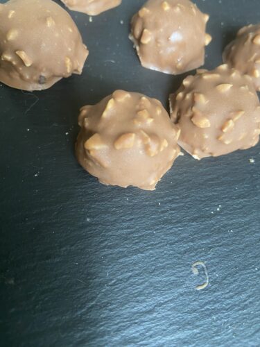 ROCHER PRALINES