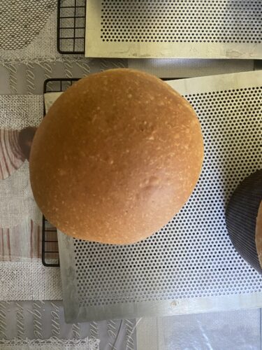 pizza pasqua marchigiana