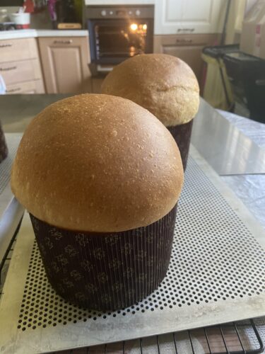 pizza pasqua marchigiana