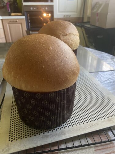 pizza pasqua marchigiana
