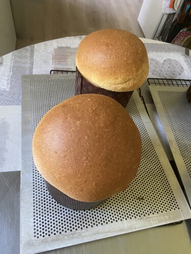 pizza pasqua marchigiana