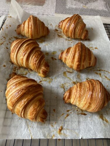 croissant salati