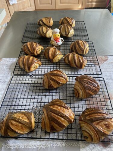 pain au chocolate bicolor