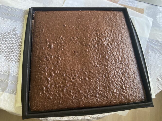sacher mini cake