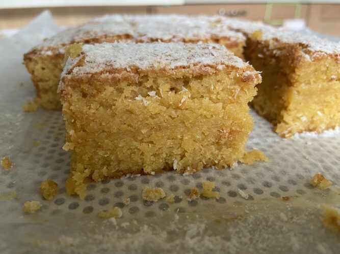 SUMMER BLONDIES COCCO E CIOCCOLATO BIANCO