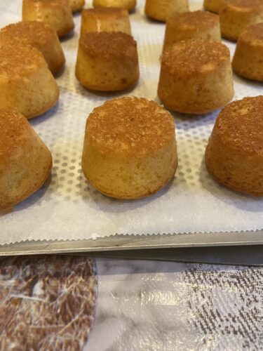 minicake cocco e mirtilli