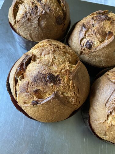 Panettone ananas cannella caramello singolo