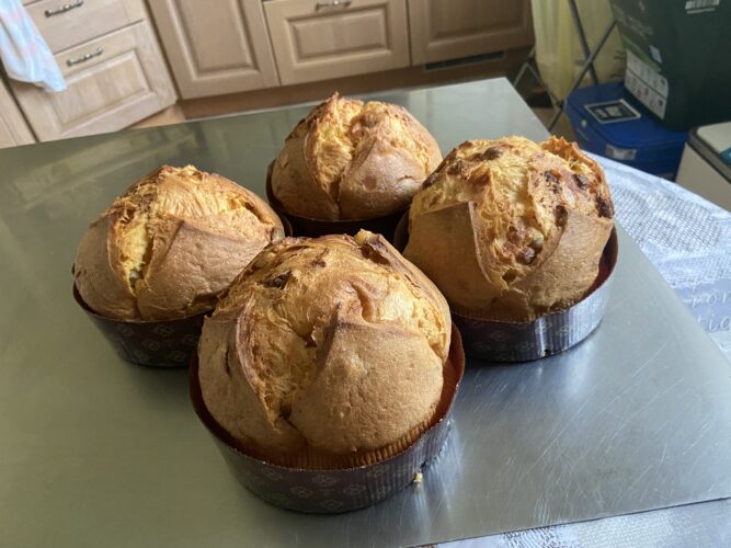 panettone al limoncello quattro