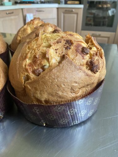 panettone al limoncello bomba