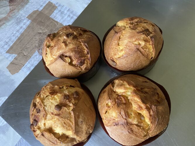 panettone al limoncello alto