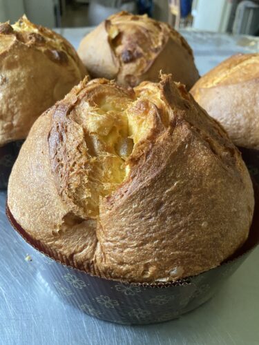 panettone al limoncello cotto