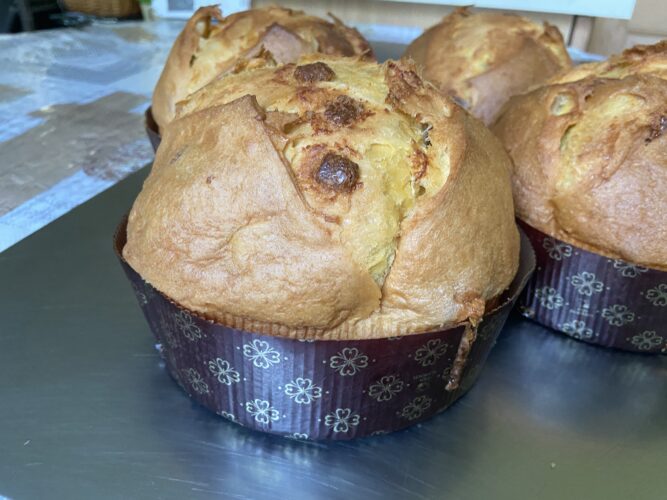 panettone al limoncello uno