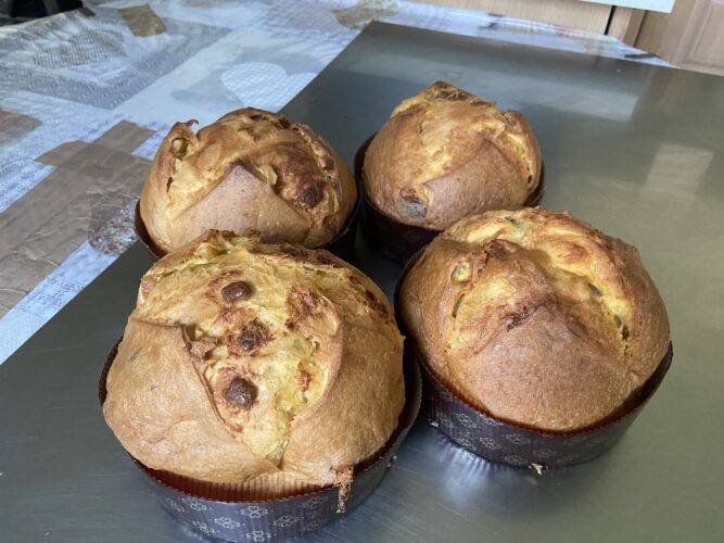 panettone al limoncello cottura