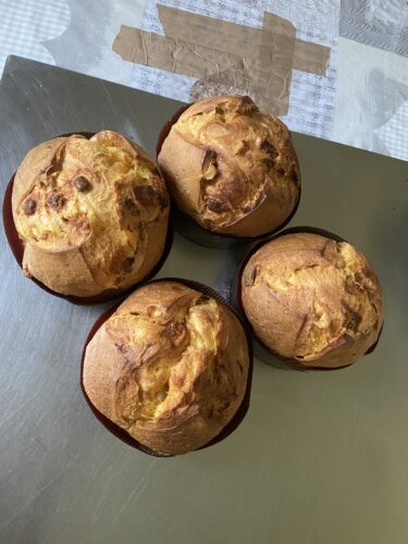 panettone al limoncello sopra