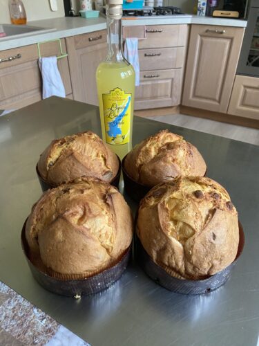 PANETTONE ESTIVO AL LIMONCELLO