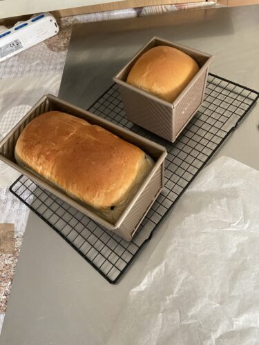 pane al the matcha cotto