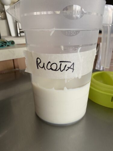 gelato ricotta miscela