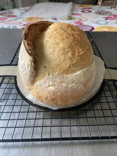 pane semola madre pentola