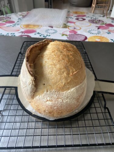 pane semola madre pentola