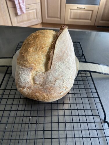 pane semola madre pentola