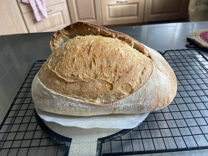 pane semola madre pentola