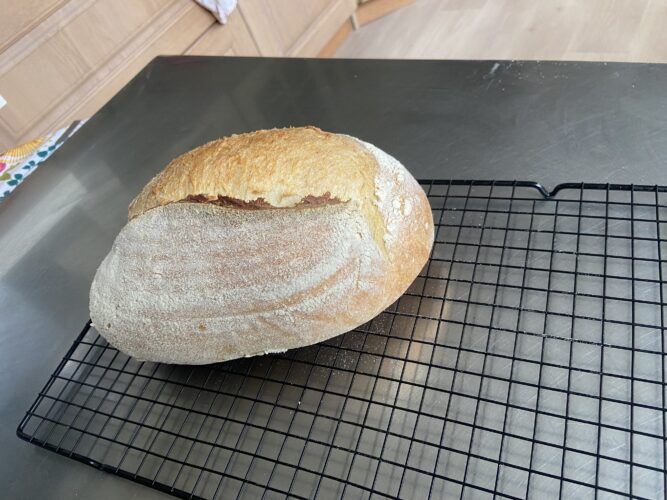 pane semola madre pentola