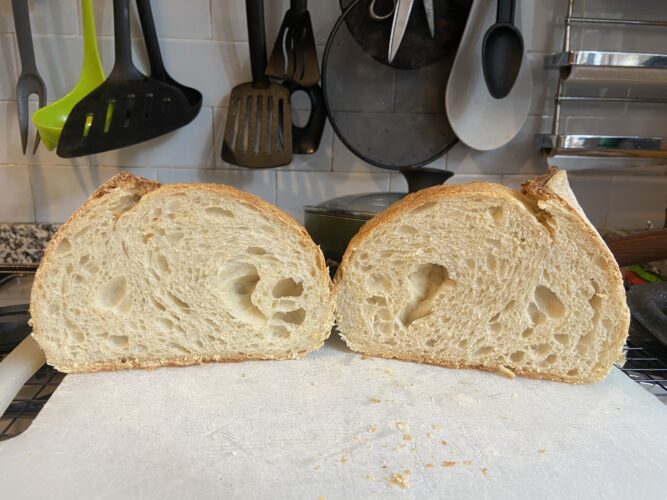 pane semola madre pentola