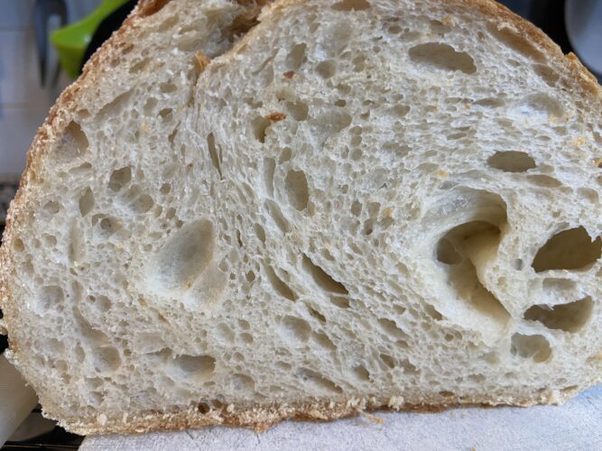 pane semola madre pentola