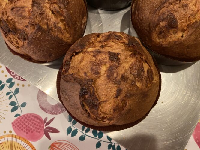 panettone pere e cioccolato bianco