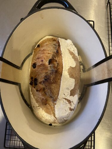 pane farro nocciole frutti rossi