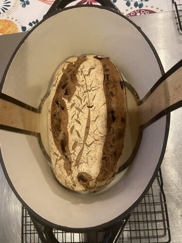 pane castagne noci uvetta madre