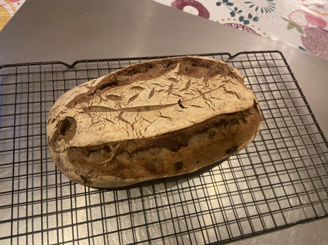 pane castagne noci uvetta madre