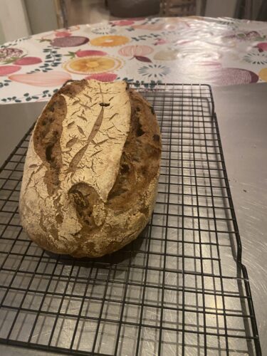 pane castagne noci uvetta madre