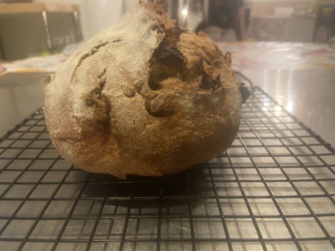 pane avena mandorle fichi