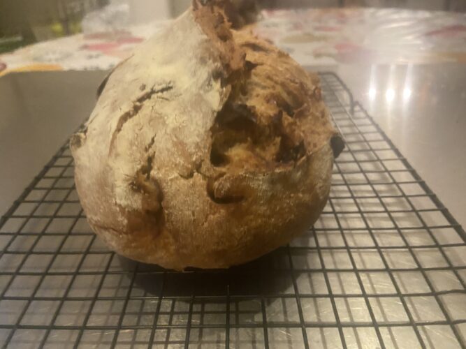 pane avena mandorle fichi