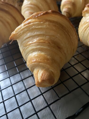 croissant salati