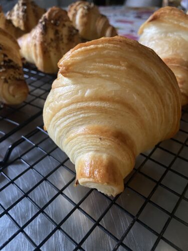 croissant salati