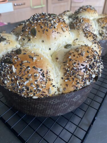 pan brioche birra