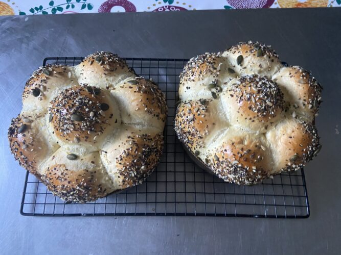 pan brioche birra