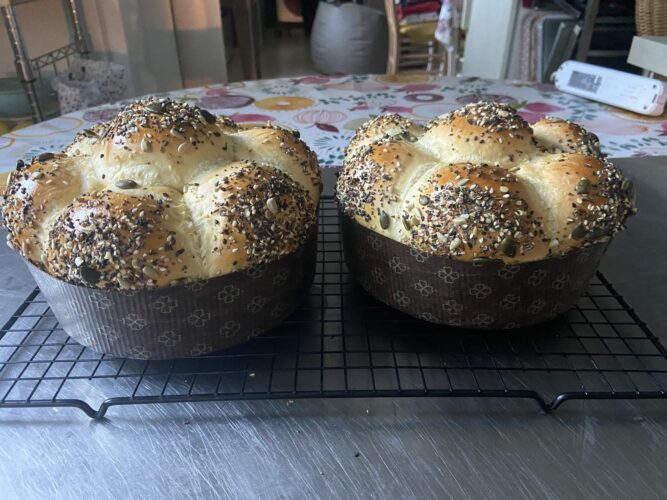 pan brioche birra