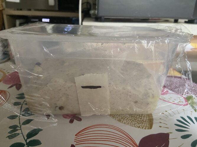 pane 5 cereali uvetta noci