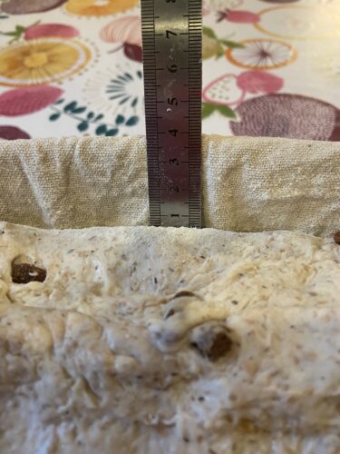 pane 5 cereali uvetta noci