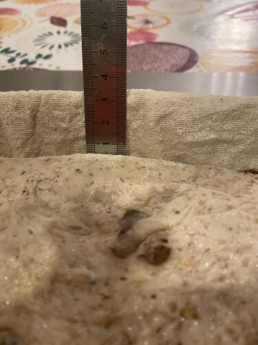 pane 5 cereali uvetta noci