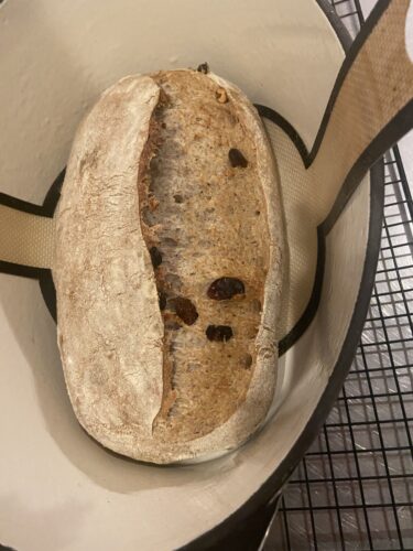 pane 5 cereali uvetta noci
