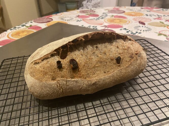 pane 5 cereali uvetta noci
