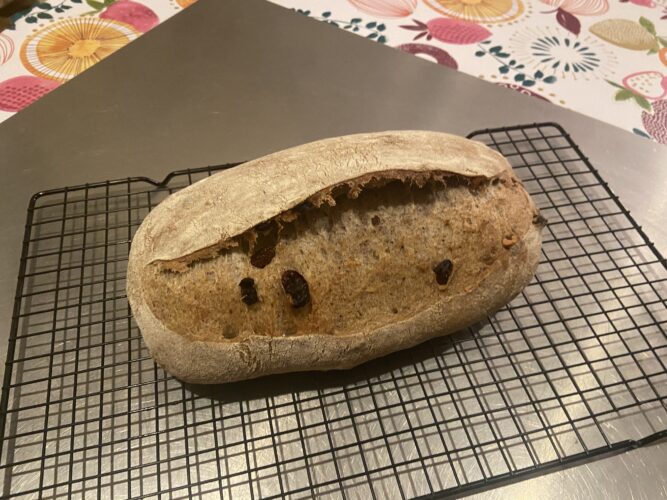 pane 5 cereali uvetta noci