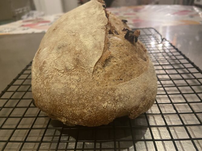 pane 5 cereali uvetta noci