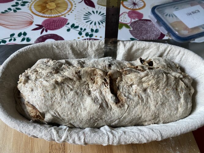 pane madre segale fichi noci